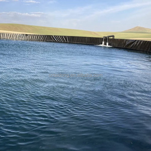 Balık gölet Liner baraj Liner Geomemrbana depolama için astar gölet gömlekleri 45 Mil 40 Mil 1.2mm 1.5mm 2mm geomembran HDPE fiyat - Product Image 4
