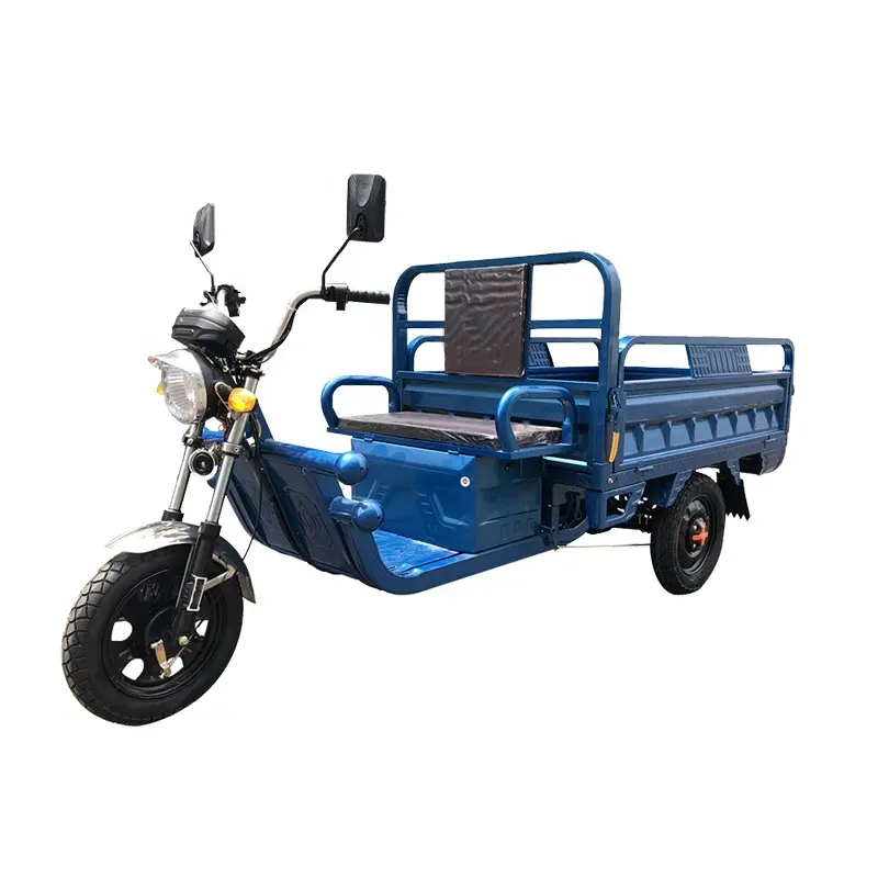 العرض الساخن 800 وات 1000 وات 1200 وات 3 عجلة البضائع الكهربائية e rickshaw دراجات نارية ثلاثية