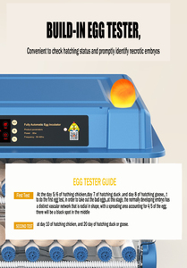 <strong>Automatic</strong> 36 Chicken Egg Incubator with High Hatching Rate Duck Goose Quail Pigeon Turkey New PP Material 220V Motor Farm <strong>Use</strong> - Product Image 3