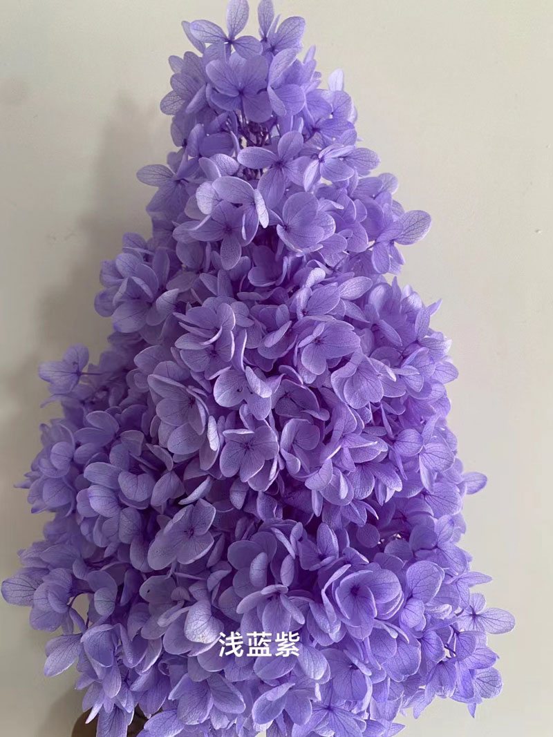 Bleu violet