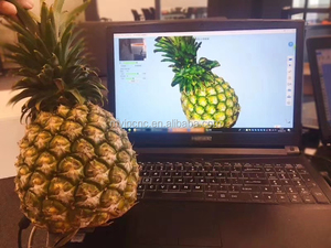 Escáner 3D de escritorio con mesa giratoria para escanear una amplia gama de objetos Gama de colores ricos y alta reproducción de color - Product Image 6
