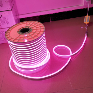 AC 110/ 220V RGB LED Neon halat ışıkları su geçirmez renk değiştiren LED halat dim çok renkli kapalı açık ticari kullanım için - Product Image 1