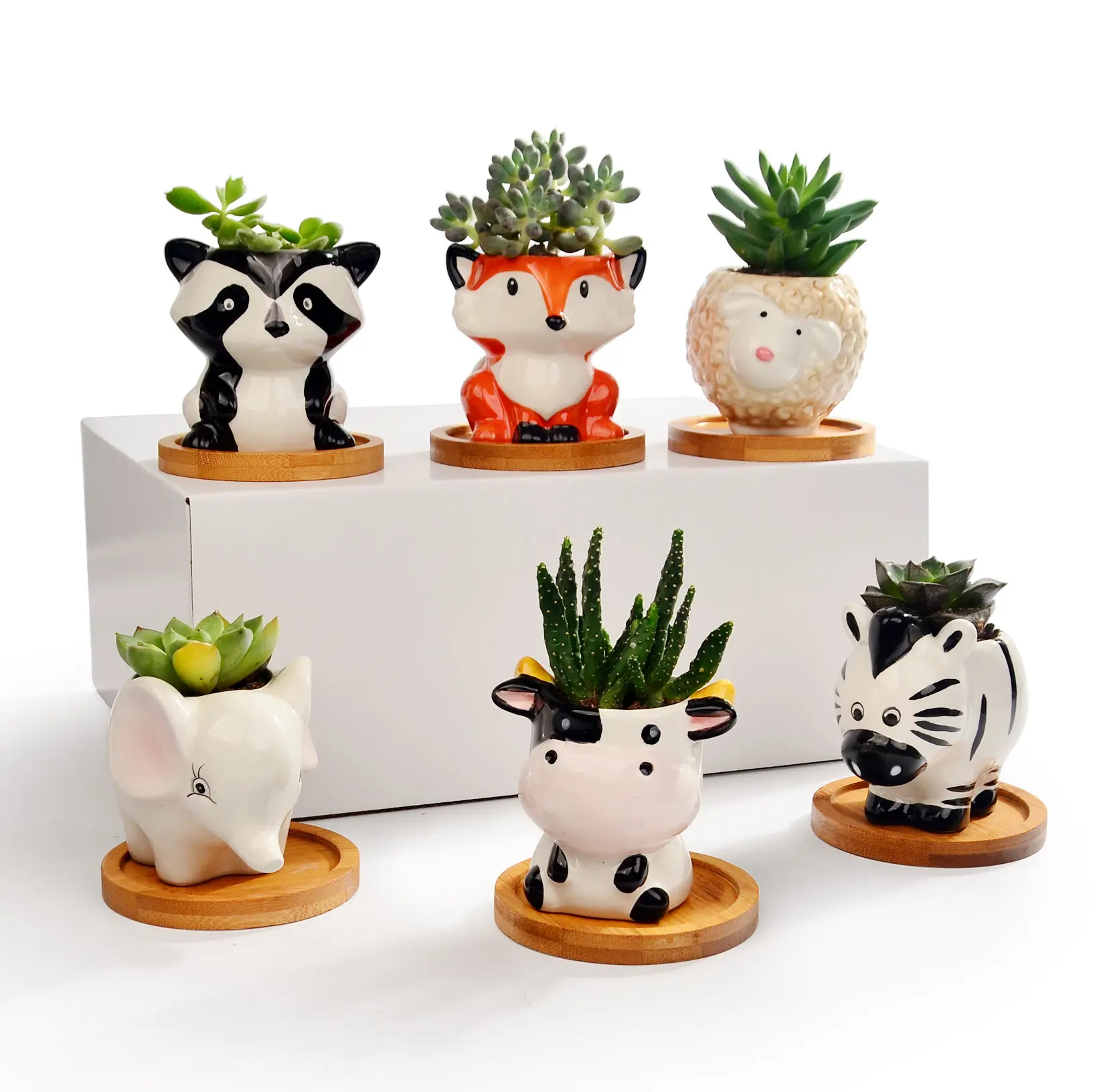 Juego de Mini macetas de cerámica con diseño de búho, conjunto de macetas para suculentas con diseño de Animal, zorro y flores