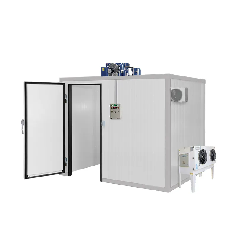 High quality cold storage cooling system cold room Customized low price walk-in freezer cold storage