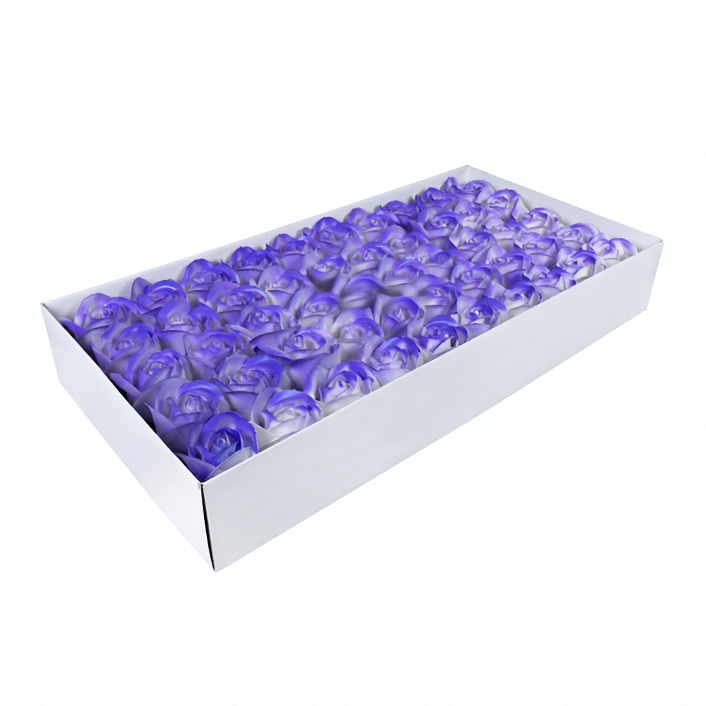 lilas violet