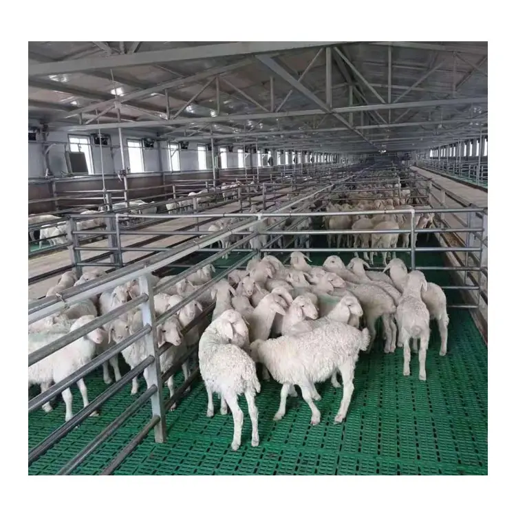 Penjualan langsung pabrik kandang unggas prefabrikasi struktur baja gudang domba gudang peternakan gudang