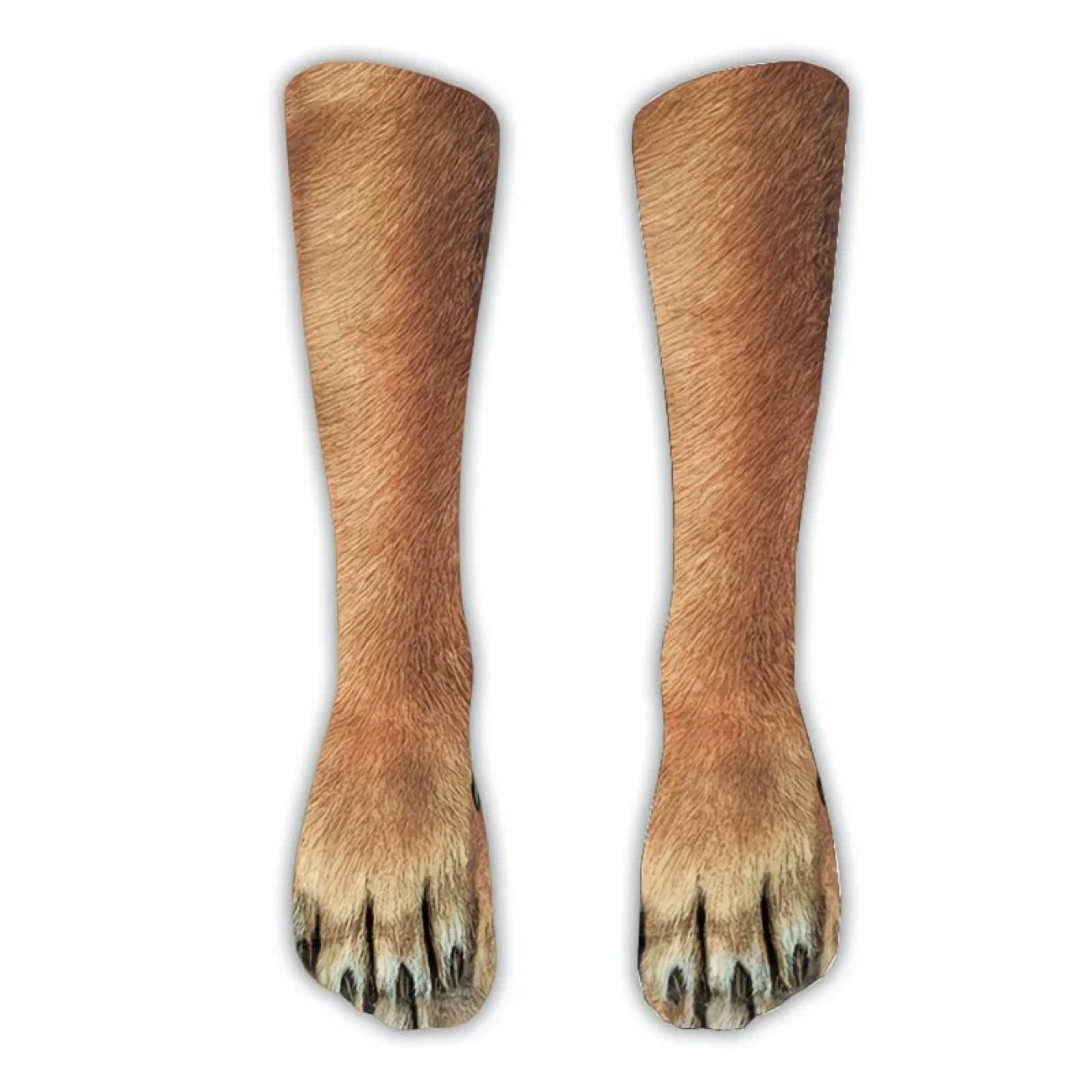 dog paws