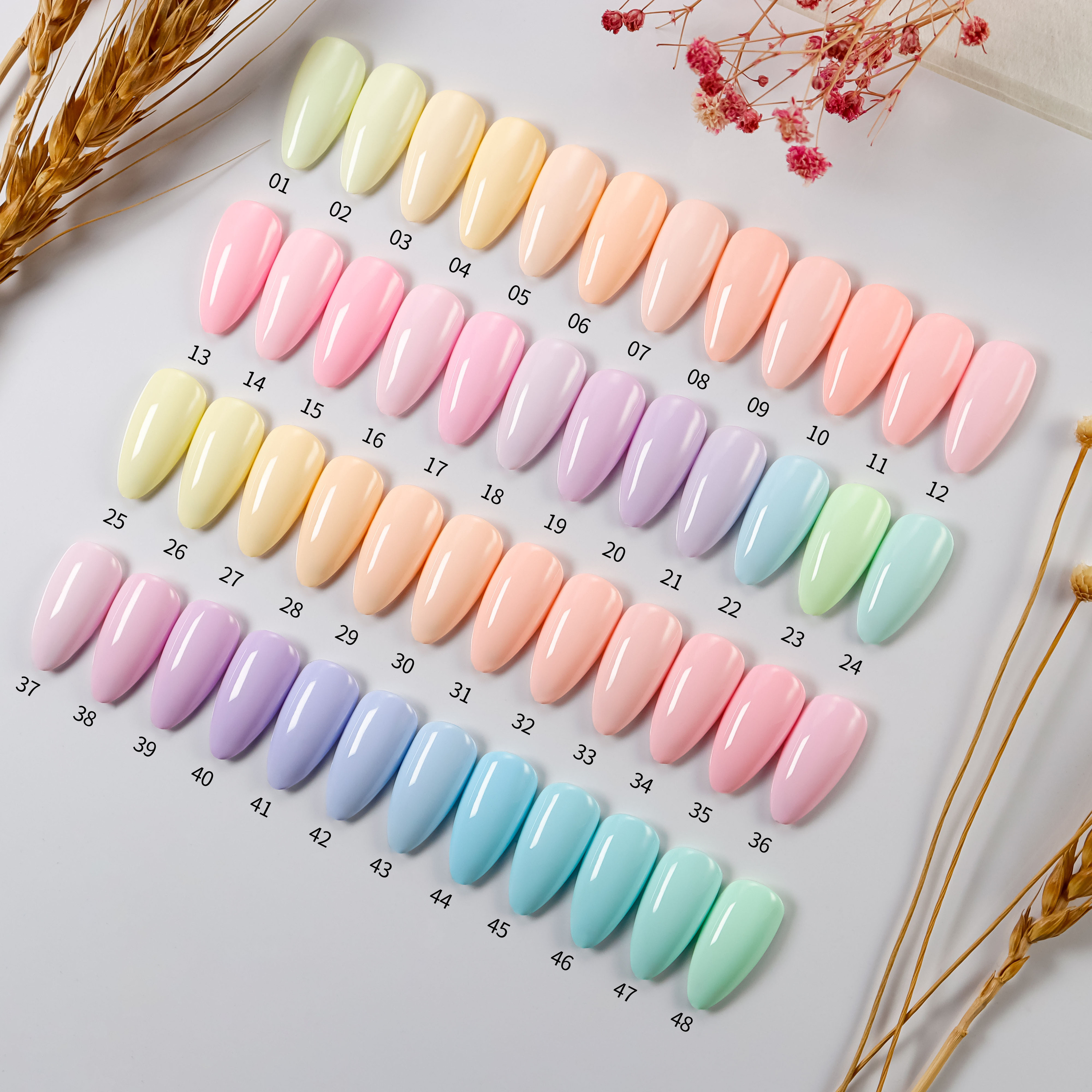 multicolore