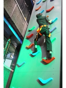 Aire de jeux intérieure créative Hogwood Amusement murs d'escalade doux/équipement de mur d'escalade pour aire de jeux - Product Image 5