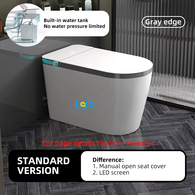 Version standard grise (avec réservoir d'eau)