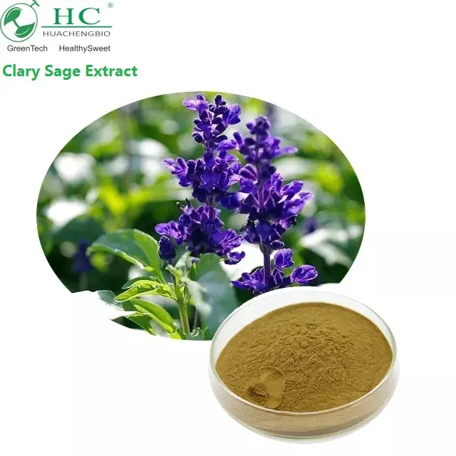 100% Bubuk Ekstrak Clary Sage Murni/Ekstrak Salvia Officinalis