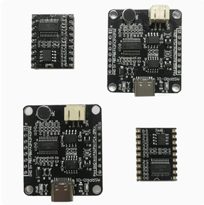 ASR-PRO ses akıllı konuşma tanıma kontrol modülü AI çevrimdışı tanıma geliştirme kurulu özel şartları - Product Image 1