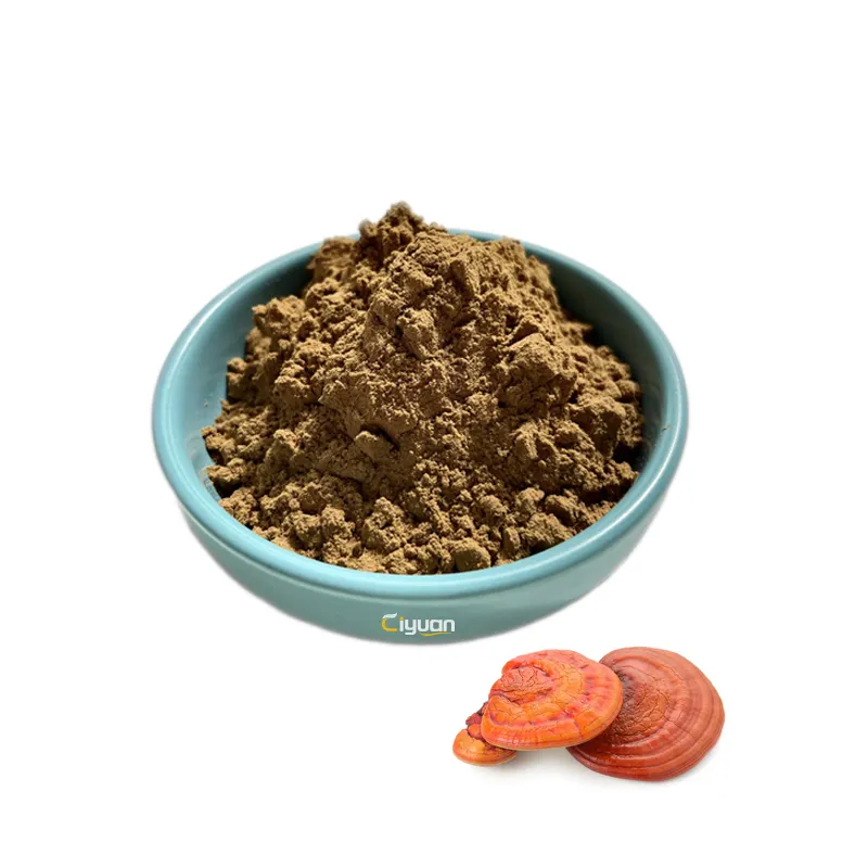 Factory Manufacturer Wholesale Reishi Mushroom Extract Ganoderma Lucidum Powder