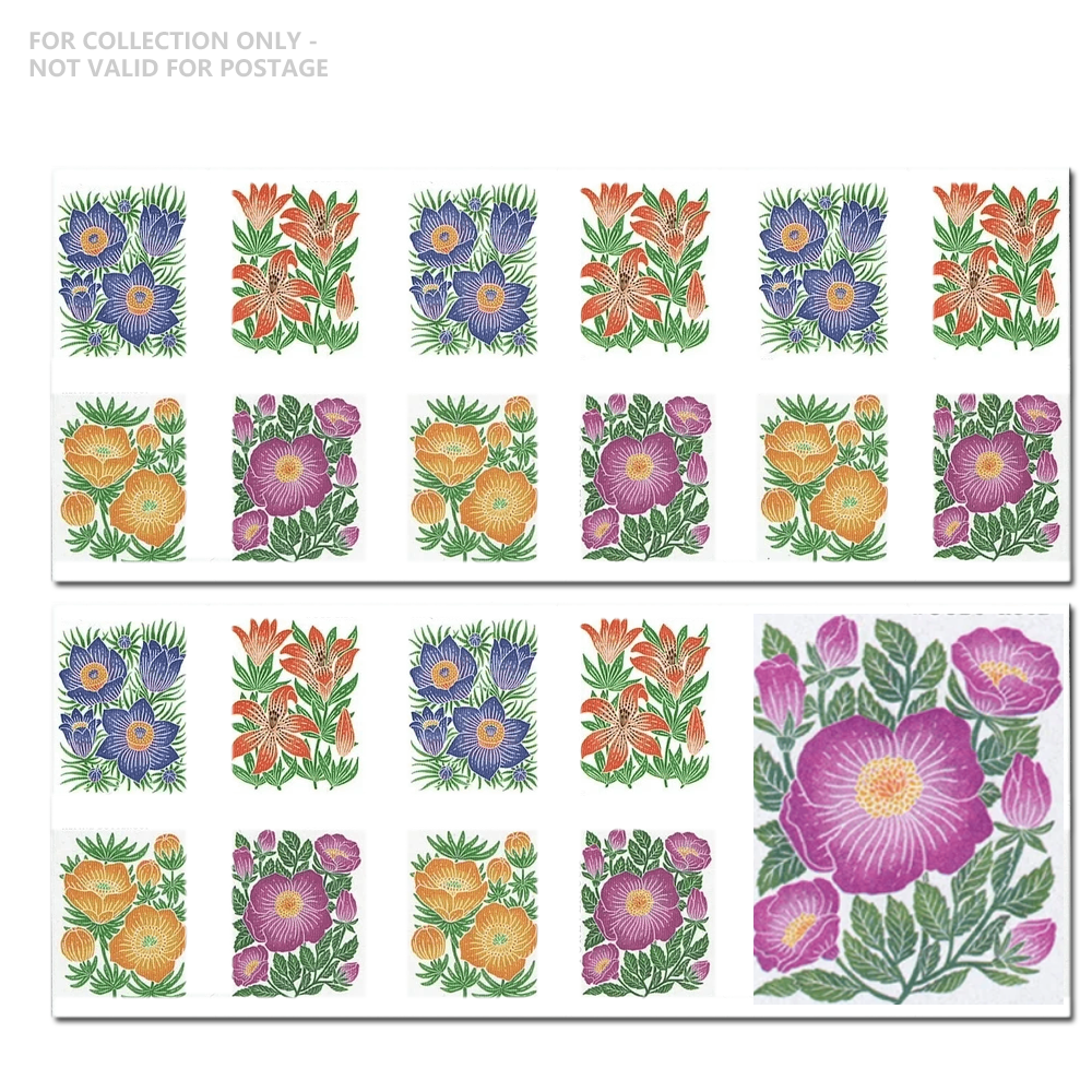 Blanc Y20 2022 Flora des montagnes