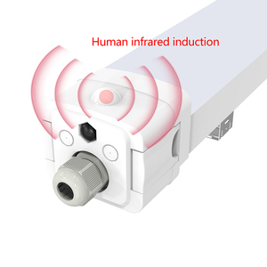 IP65 IK08三防灯三防灯发光二极管三防灯汽车运动传感器 - Product Image 2