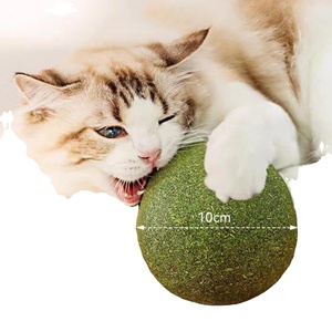 Nueva llegada de juguete de entrenamiento interactivo Super Big Cat Toy Gall Fruit Ball 10cm Extra Large Catnip Ball - Product Image 1