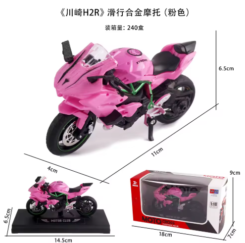 Kawasaki h2r (rose)