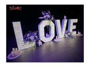 <strong>Manufacturer</strong> Customized 3ft 4ft 5ft Waterproof Giant Light up Numbers Sign Personalized <strong>Led</strong> Light up Lights Marquee Letters - Product Image 3