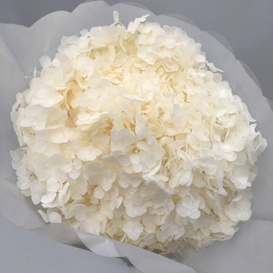 DIY Materials Factory Direct Sales Ins Style Real Touch Preserved Anna <strong>Hydrangea</strong> Flower Dried Preserved <strong>Hydrangea</strong> With Stem - Product Image 5