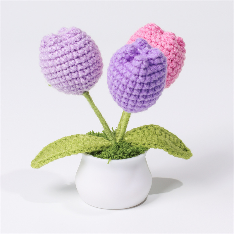 3 fat tulip purple series