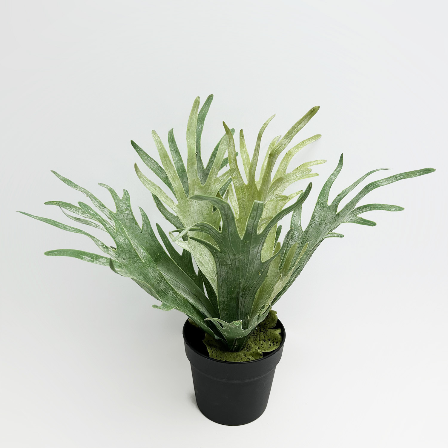 Pot en plastique P230603-45