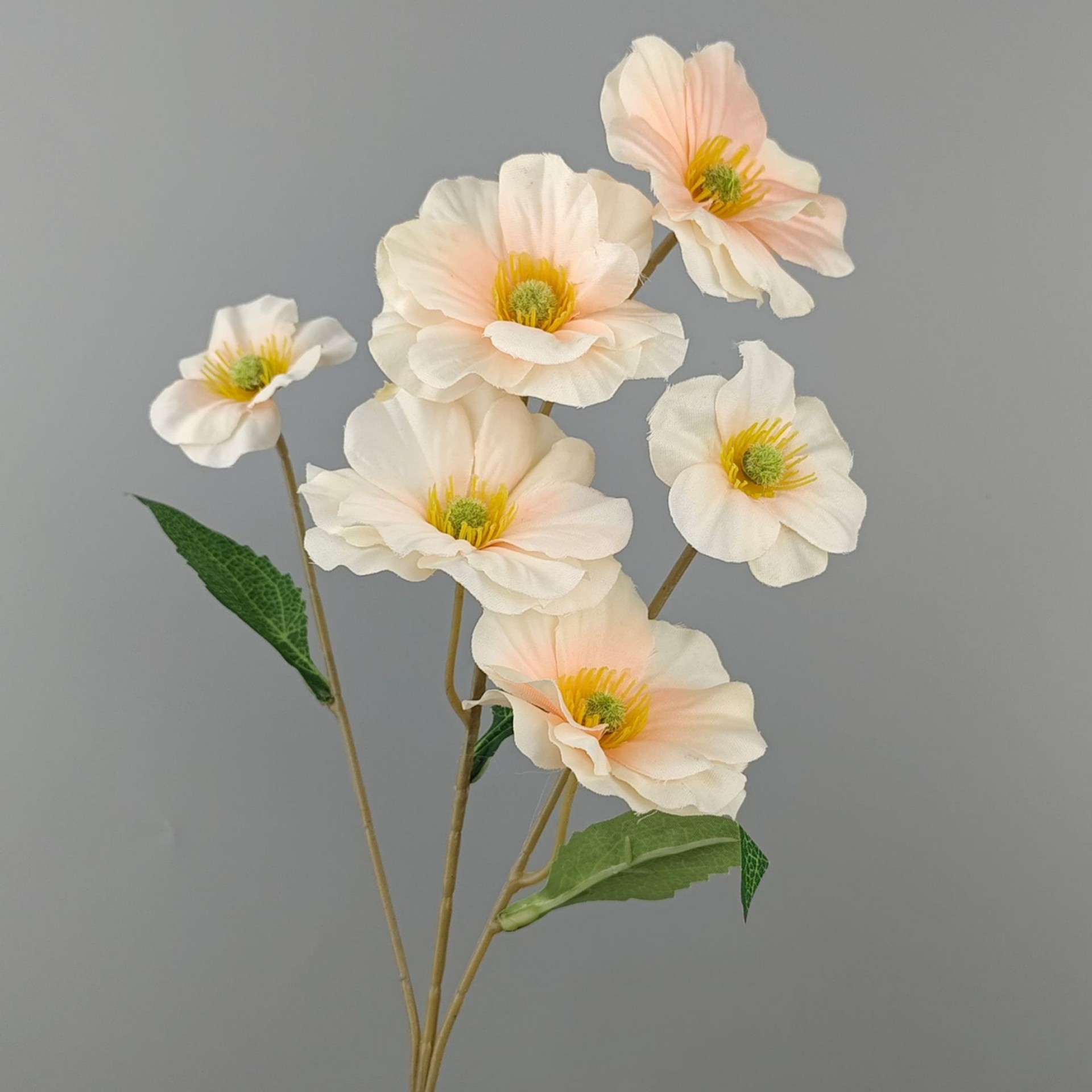 Pansy-Champagne-60cm