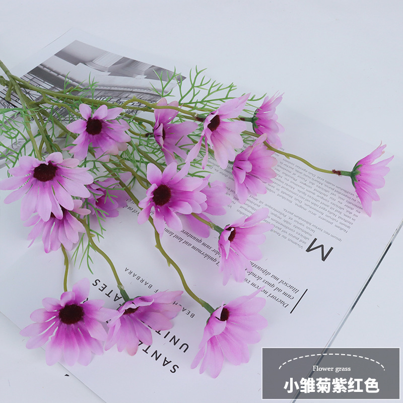 Petite marguerite ridée à une seule fourche violette