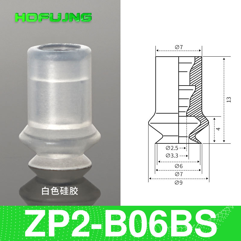 ZP2-B06BS
