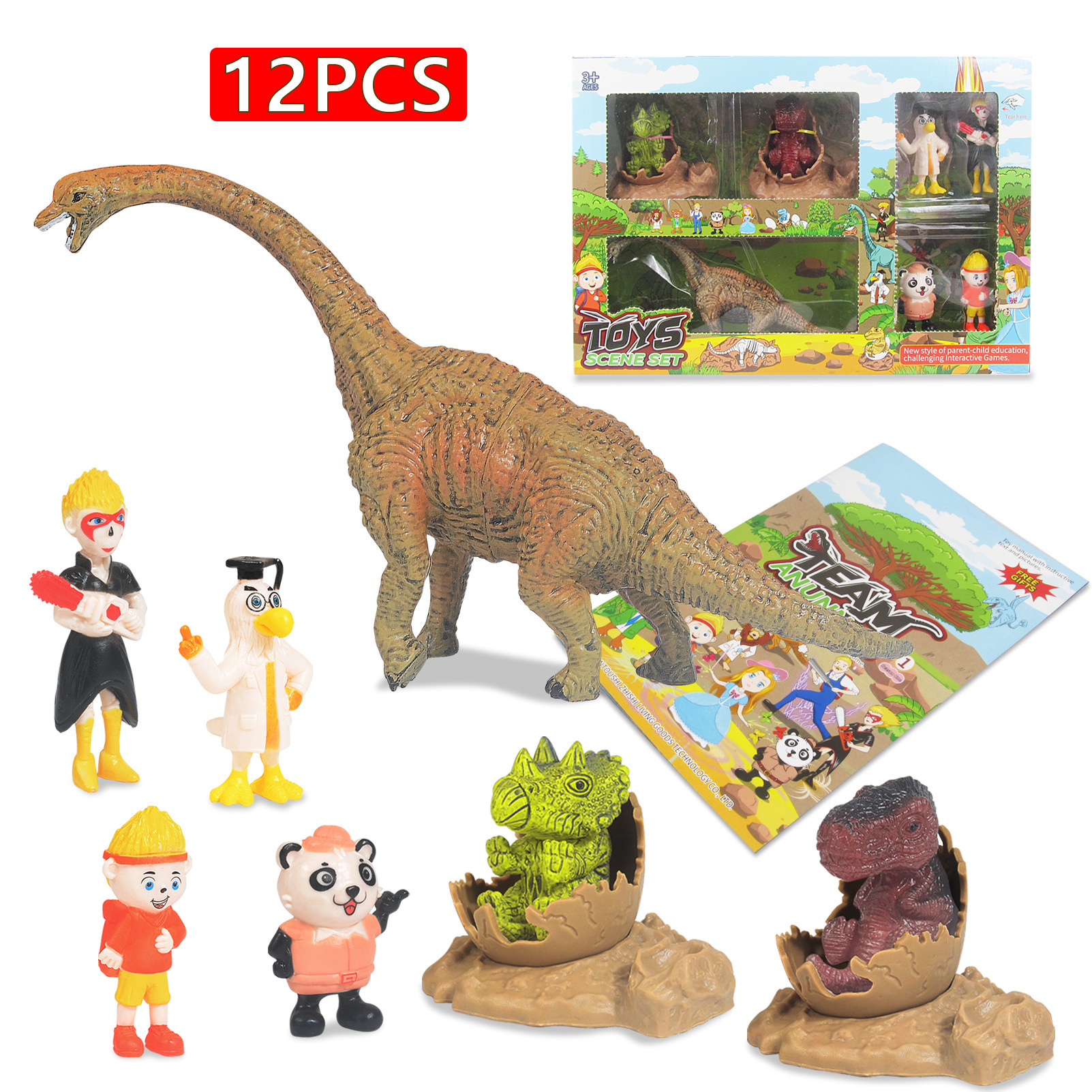 11