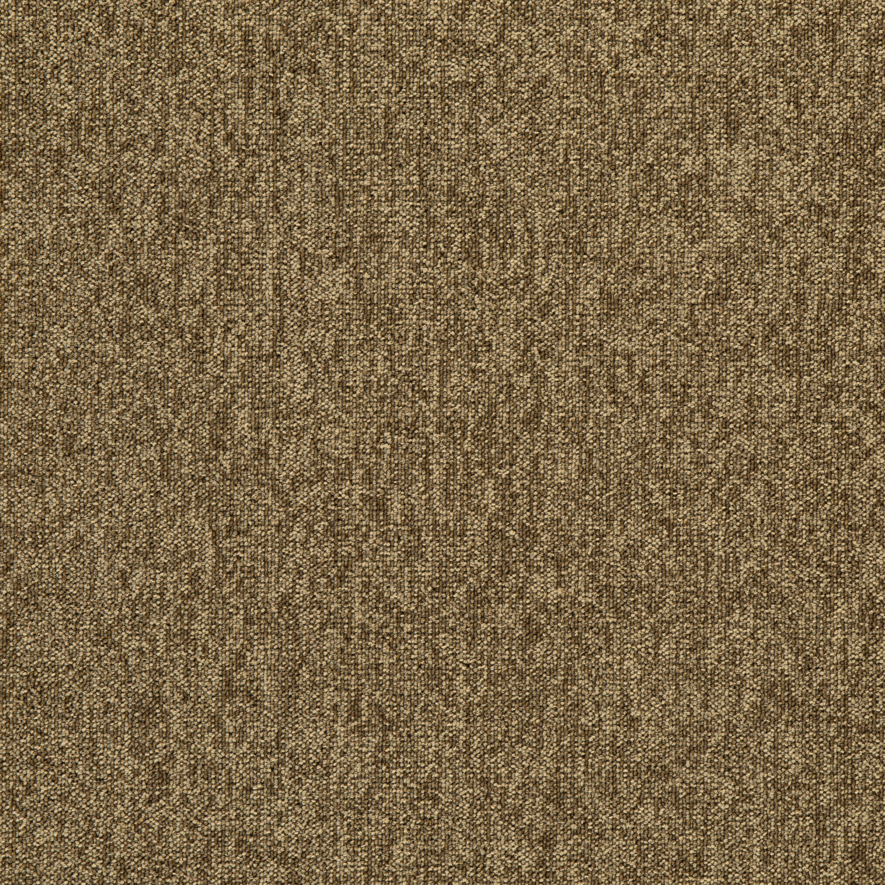 Marron09