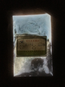 Sheng Zhu <strong>Phosphorous</strong> Luminescent White Glow Powder Glow in the Dark Nail Pigment