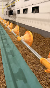 Low CostAutomatic Broiler <strong>Chicken</strong> Floor System for Sale