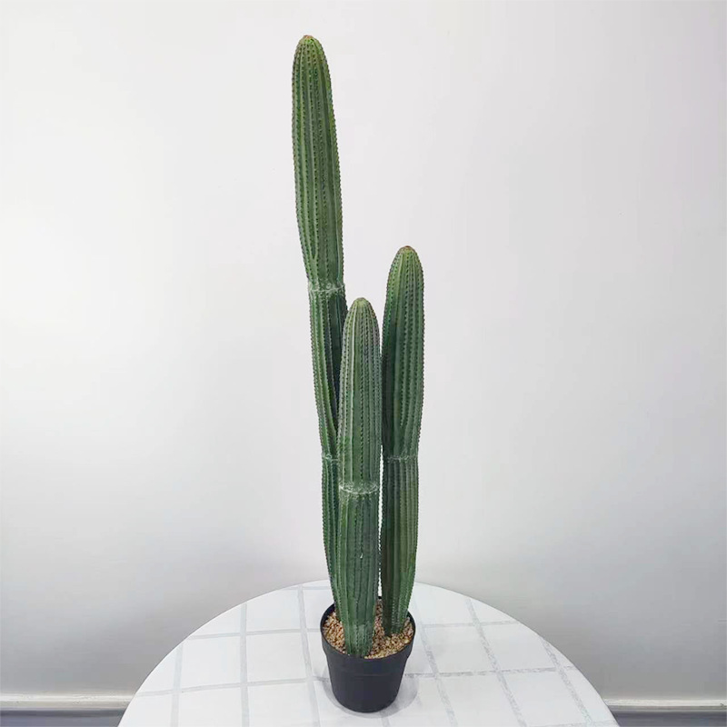 Green 12