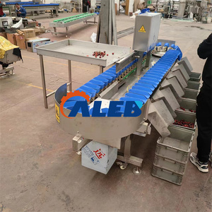 Industrial Fish Seafood Oyster Grading Weight Sorting Machine Shrimp Crayfish Sea Cucumber Grader <strong>Classifier</strong> - Product Image 4