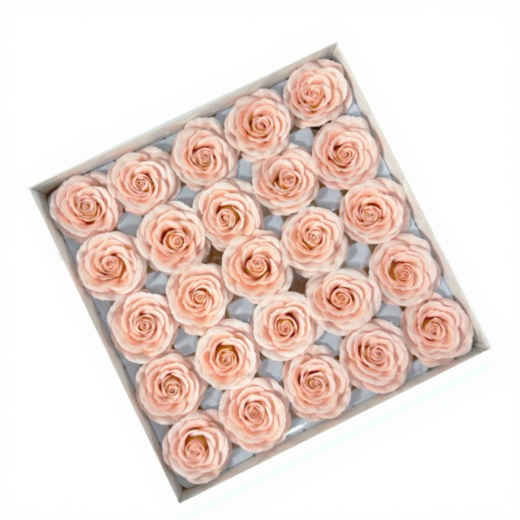 Rosa champagne25#