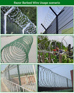 Ekspor Tiongkok Bto-30 kawat berduri berduri galvanis/kawat cukur berduri - Product Image 4