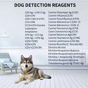 Chw/ana/lym/ehr Caniv-4 Combo anaplasm/ heartworm/erlichia/lyme Canis ชุดทดสอบสัตว์เลี้ยงที่รวดเร็วได้รับการรับรอง CE สำหรับใช้ในบ้านเชิงพาณิชย์ - Product Image 4