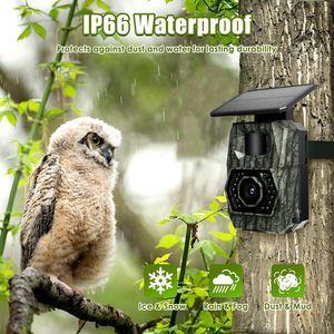 Мини Wi-Fi Trail Camera PH970S с батареей 5200 мАч и солнечной панелью Беспроводная функция - Product Image 5