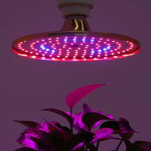 フルスペクトル15W/24W UFO LEDは赤い青い二重軽いモードが付いている小さい屋内植物のための電球を育てます - Product Image 5