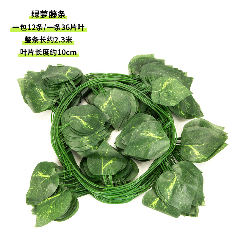 36 pothos vines (12 vines per pack)