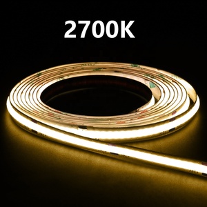 10mm Width 3000K WS2812 WS2811 Running Water Flowing IC <strong>Led</strong> Light Strip White Color Smart <strong>Led</strong> Strip With Wifi Google Control - Product Image 3