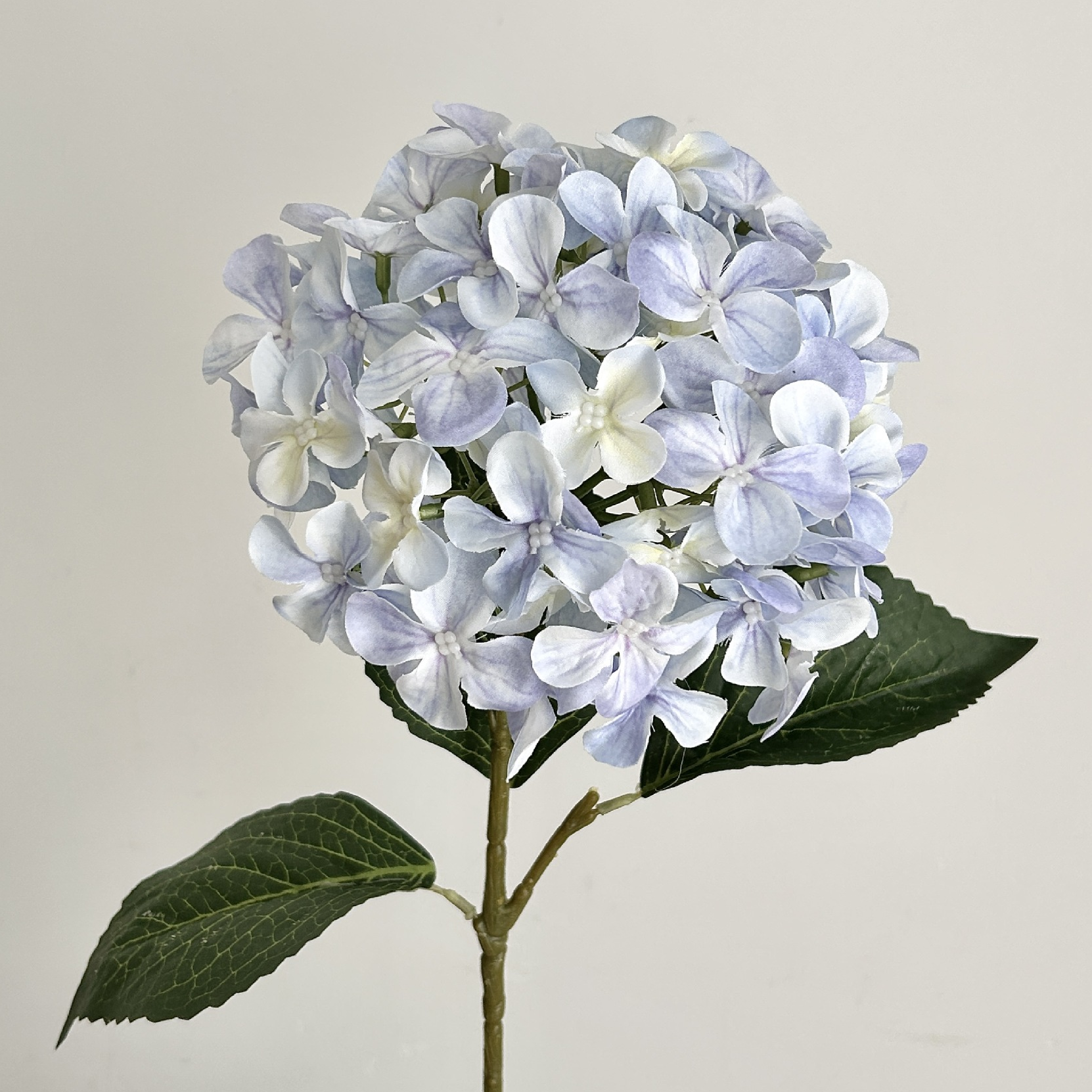 Bleu clair
