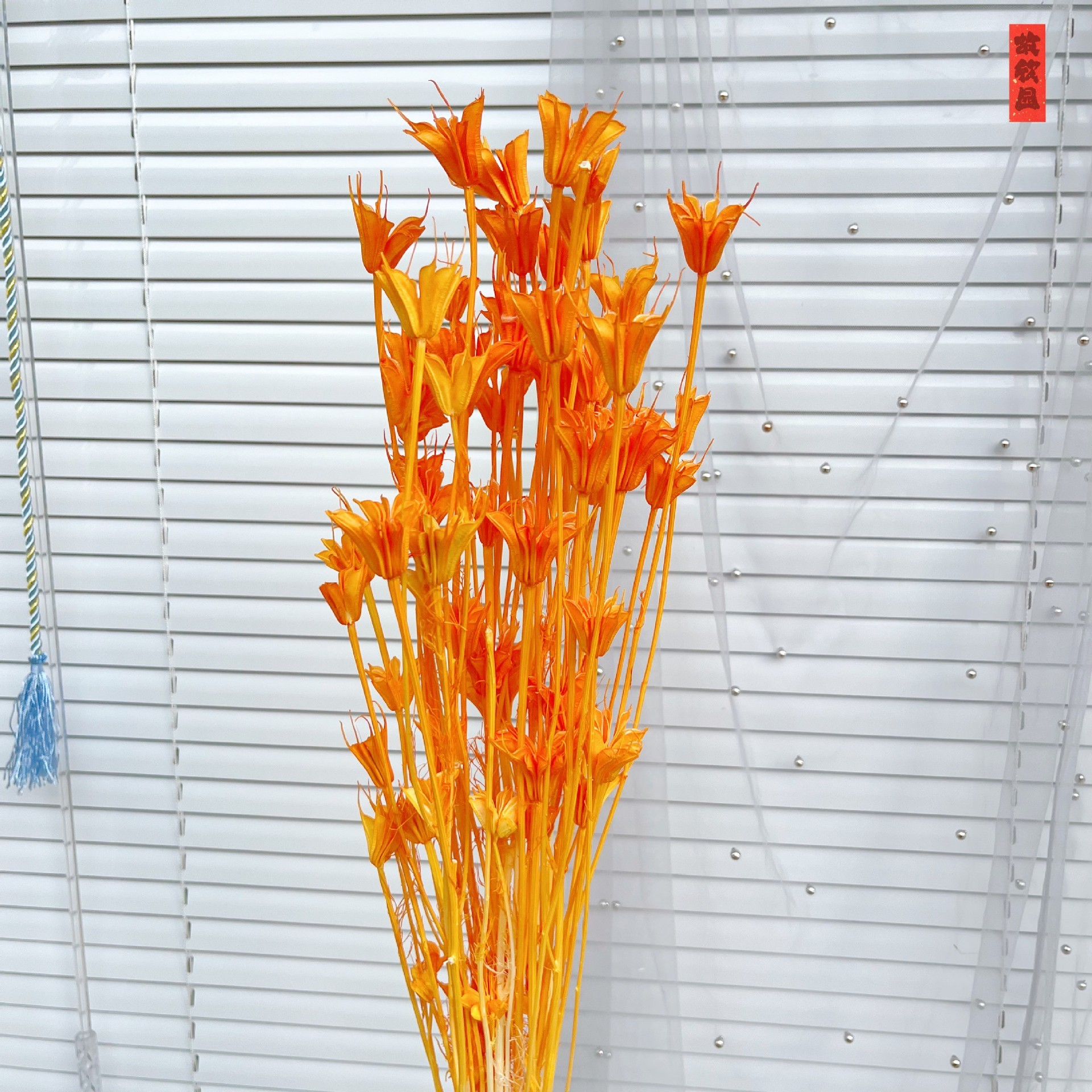 Orange 2