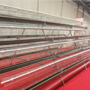 La mejor jaula de colocación de pollos tipo A de 4 puertas, casa de alambre de hierro galvanizado de 3 niveles, gallinero automático para uso agrícola - Product Image 2