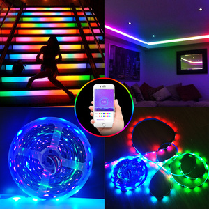WS2812B LED şerit ışık 300 piksel ayrı ayrı adreslenebilir 5V RGB 5050 SMD rüya renk su geçirmez IP67 siyah PCB LED şerit bant - Product Image 4