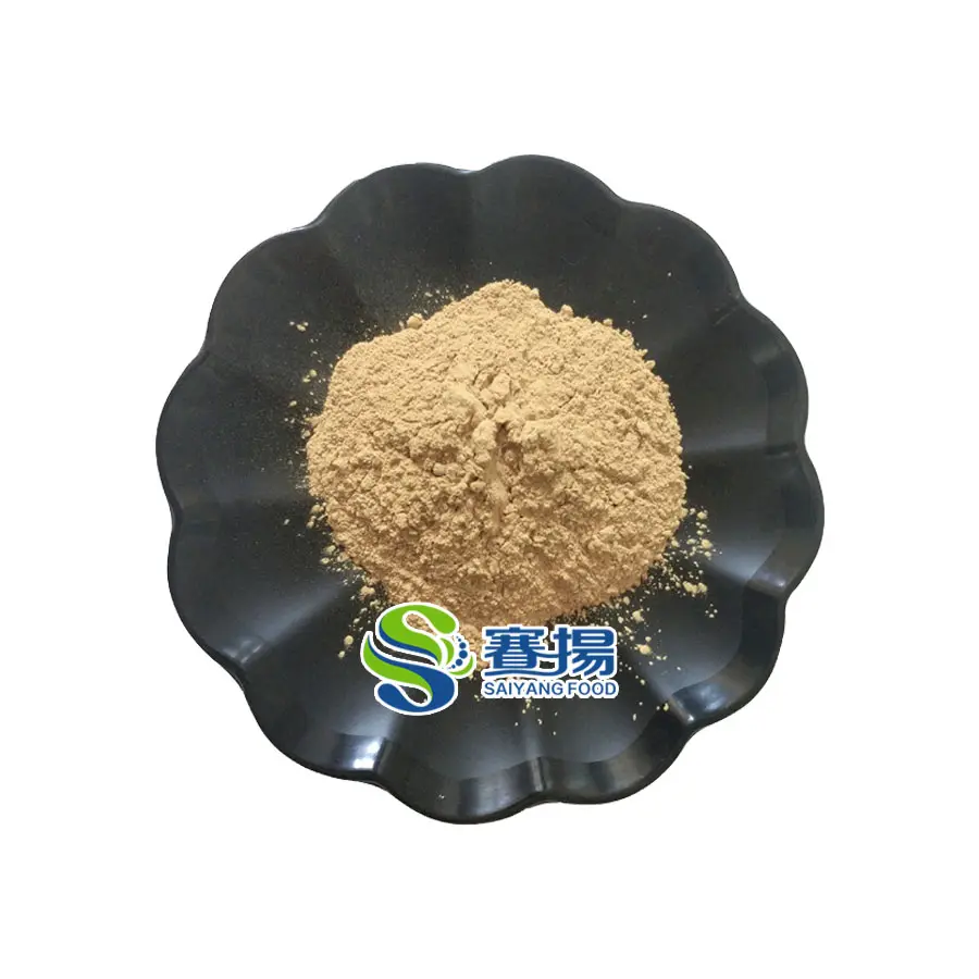 Natural Ginger Extract Gingerol Hot Sale Water Soluble Gingerol 10% Ginger Extract