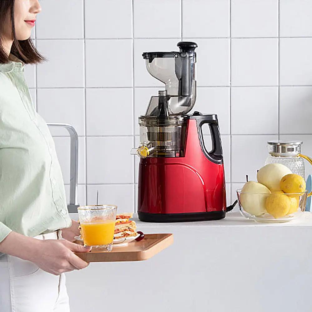 घर उपकरण Juicer सब्जी फलों का रस चिमटा मशीन ठंड प्रेस पेशेवर वाणिज्यिक धीमी Juicer
