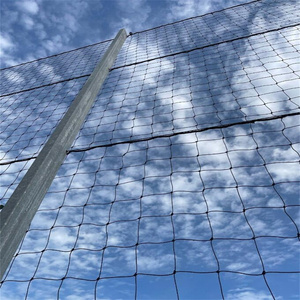 Baseball Practice <strong>Net</strong> Sports Barrier <strong>Net</strong> Multi Balls Backstop Cage Netting - Product Image 1