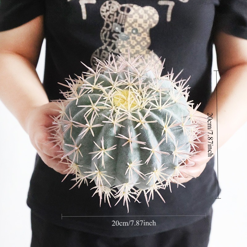 prickly frost spray cactus 20cm