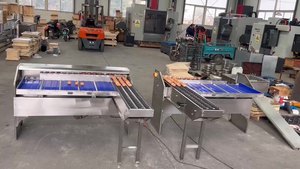 高效鸡蛋分选机鸡蛋大小重量分选机分类自动小型分级机分类 - Product Image 2